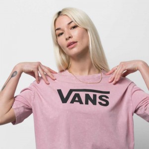 Vans Flying V Relaxed Boxy Tee Multicolor | XNM-356948